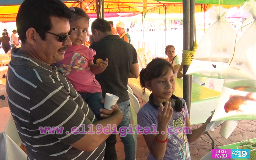 feria